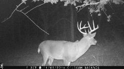Golden Triangle Outfitters in Illinois